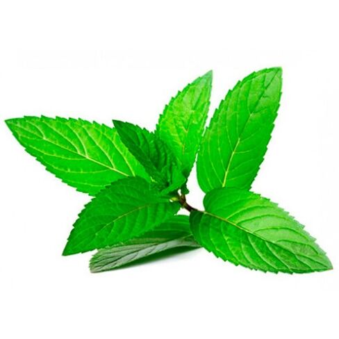 Mint oil in the cream ZXCVBNMQWORT