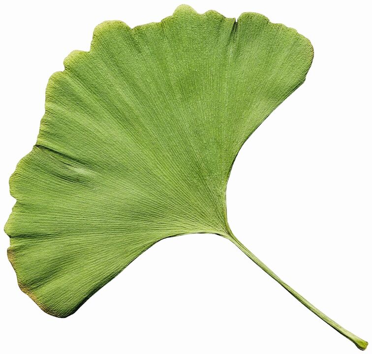 Varicone Cream Gingco Biloba Extract contains